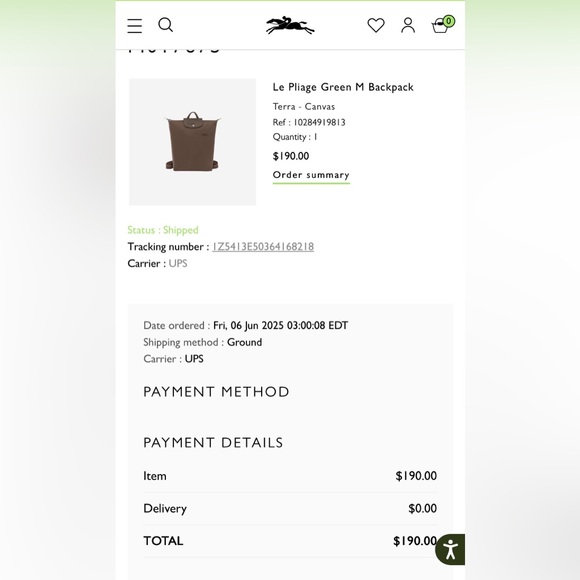 LE PLIAGE GREEN M BACKPACK with Receive 🙏 - Picture 17 of 17